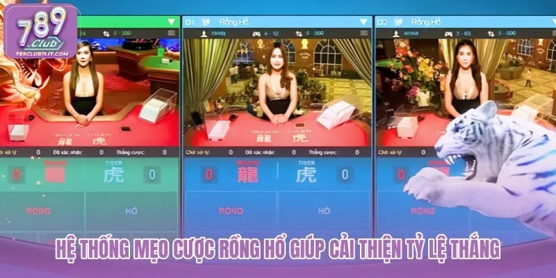 he-thong-meo-cuoc-rong-ho-giup-cai-thien-ty-le-thang