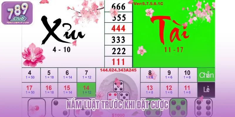 nam-luat-truoc-khi-dat-cuoc nam-luat-truoc-khi-dat-cuoc